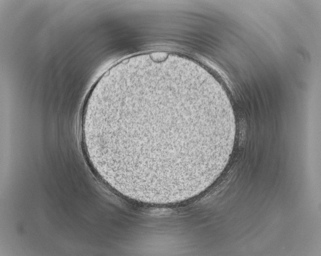 X0000115291467200912141046