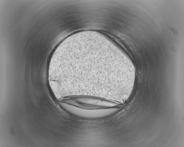 X0000115291469200912141045