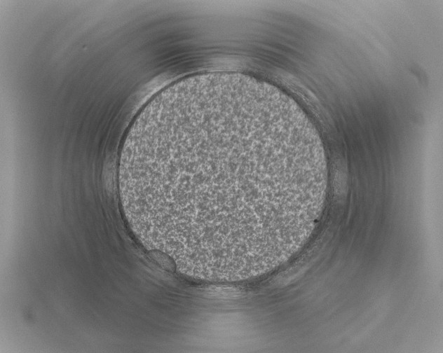 X0000115291473200912141045