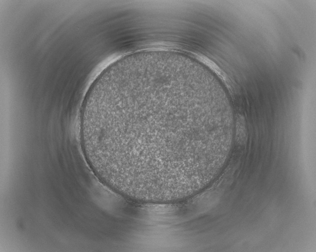 X0000115291474200912141045