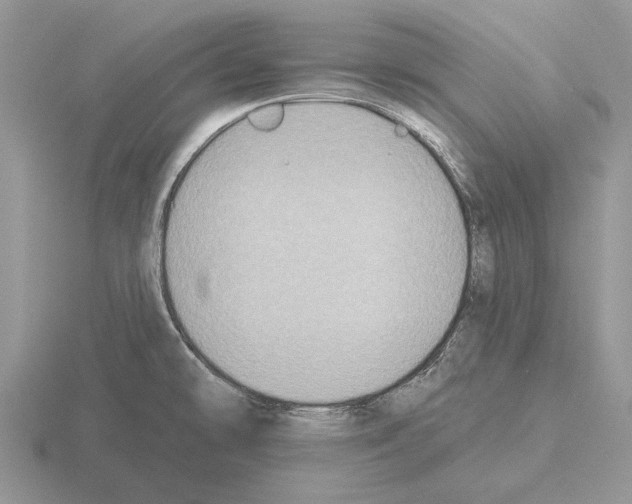 X0000115291478200912141045