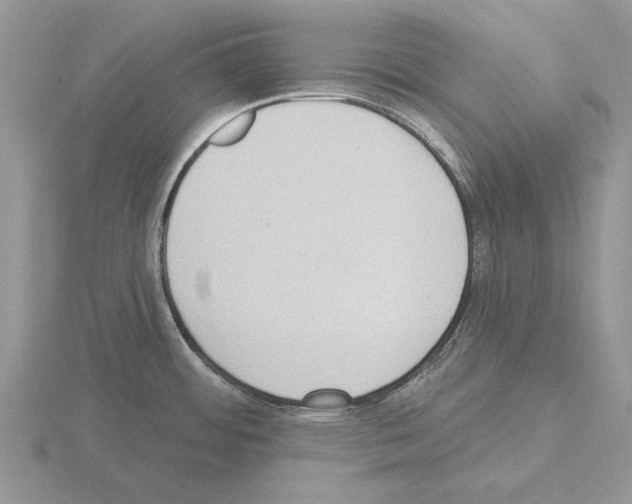 X0000115291484200912141045