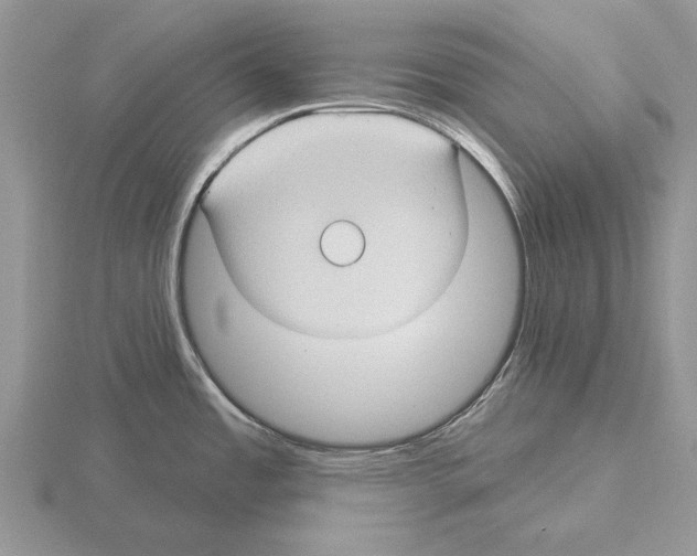 X0000115291485200912141045