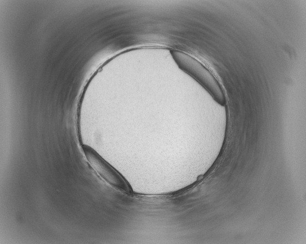 X0000115291488200912141045