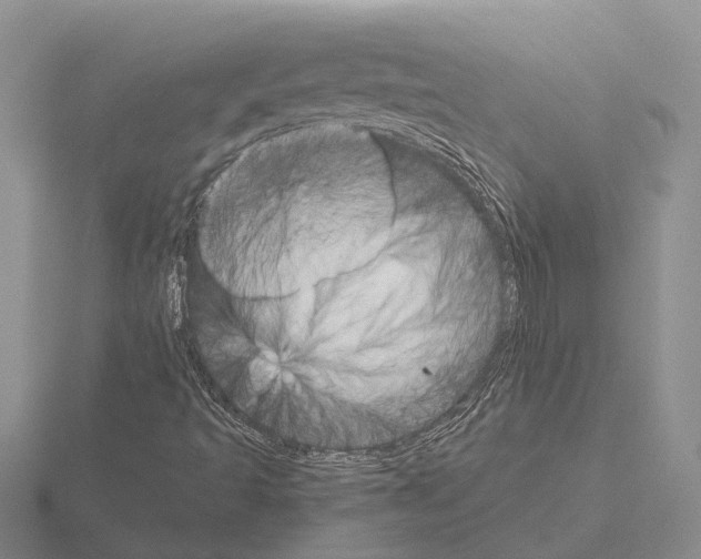 X0000115291493200912141045