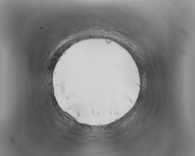 X0000115291494200912141045