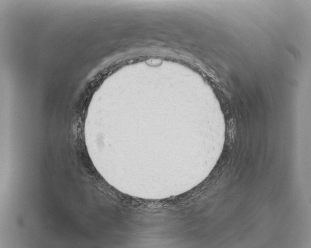 X0000115291495200912141045