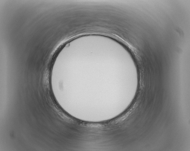 X0000115291498200912141045