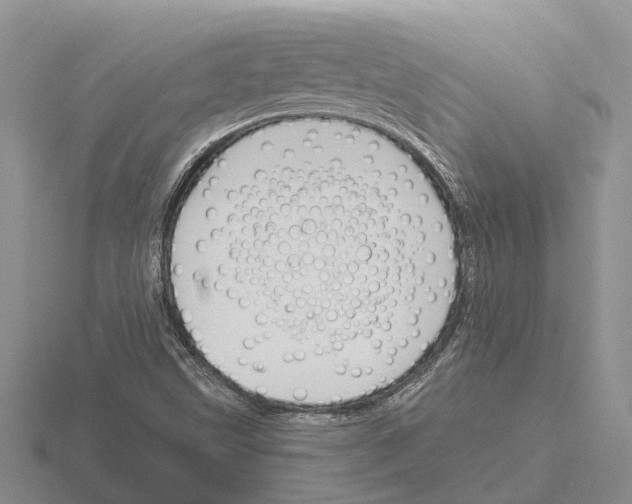 X0000115291499200912141045