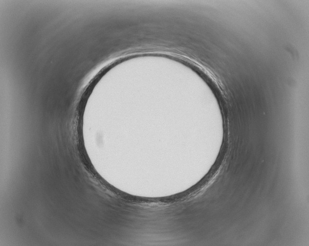 X0000115291502200912141045