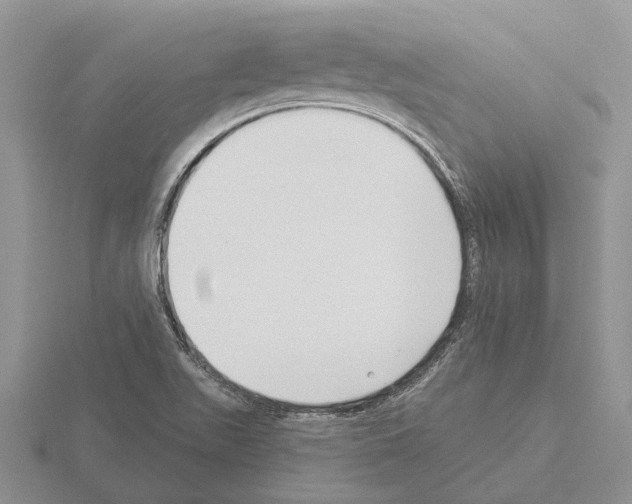 X0000115291511200912141045