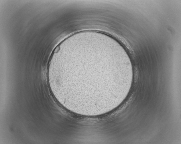 X0000115291513200912141045