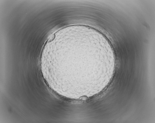 X0000115291521200912141045