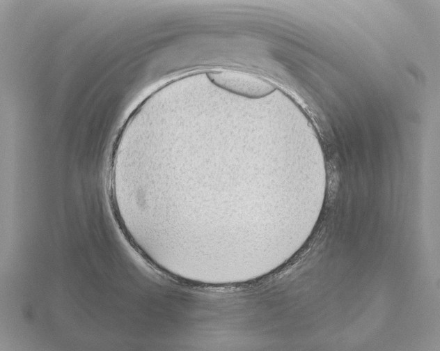 X0000115291523200912141045