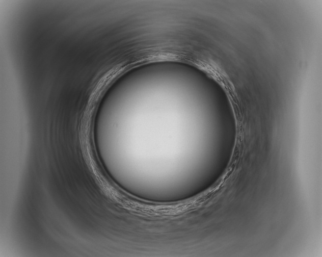 X0000115300001200911091021