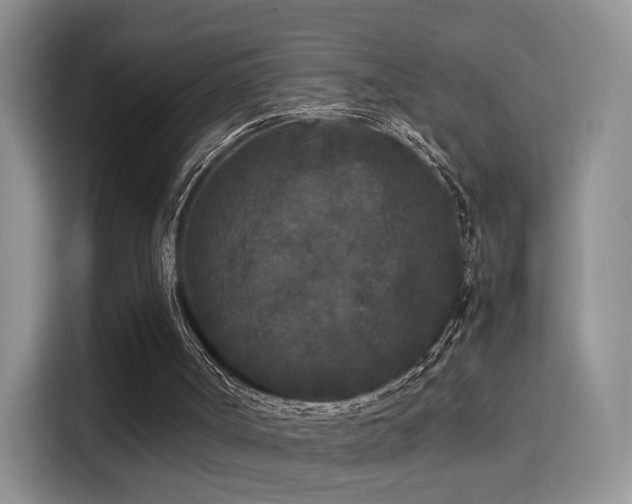 X0000115300002200911091021