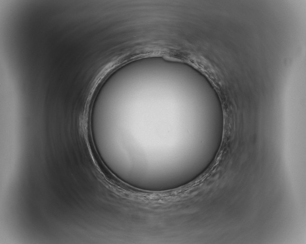 X0000115300003200911091021