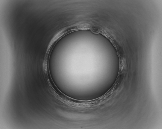 X0000115300004200911091021