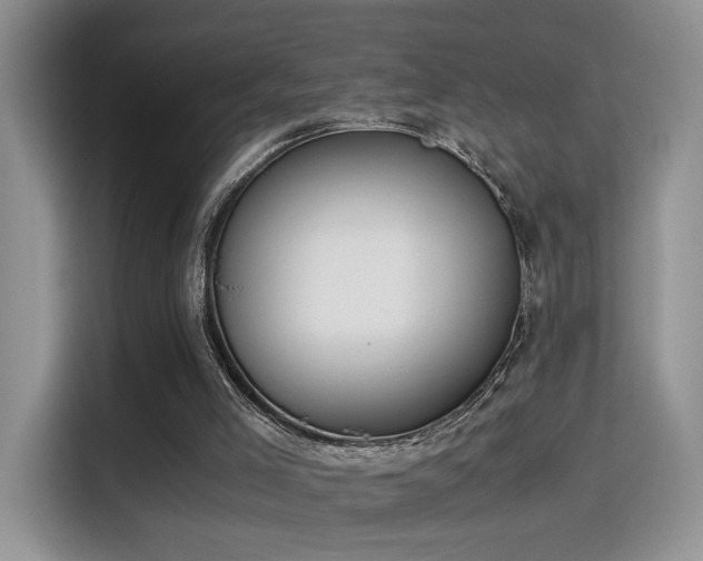 X0000115300005200911091021