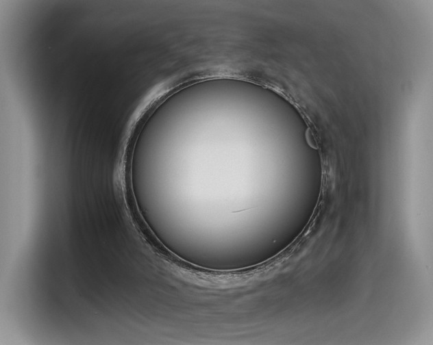 X0000115300006200911091021