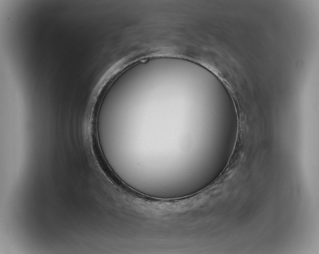 X0000115300007200911091021