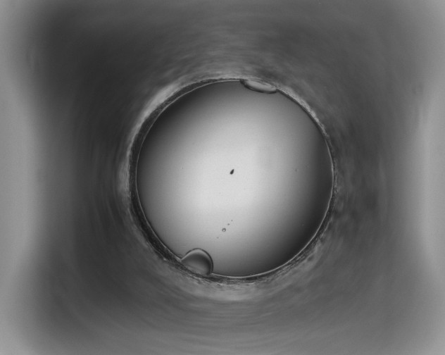 X0000115300008200911091021