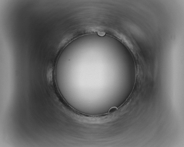 X0000115300010200911091021