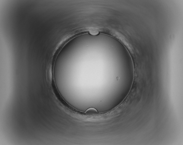 X0000115300011200911091021