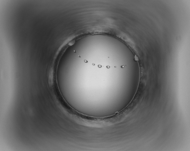 X0000115300012200911091021