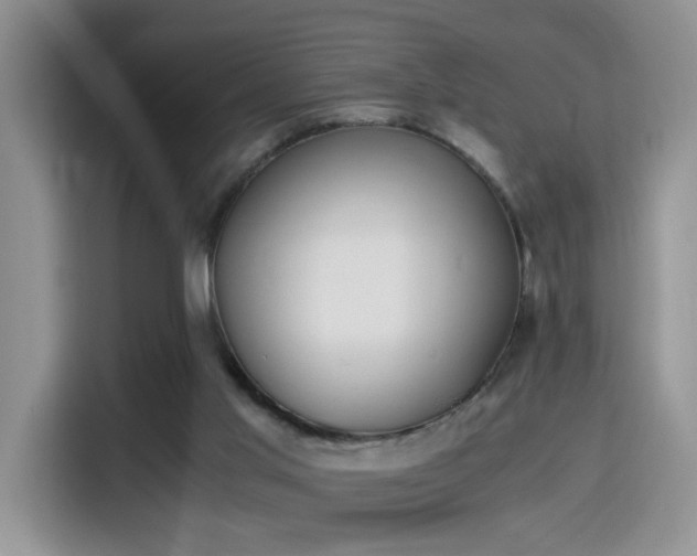 X0000115300013200911091021