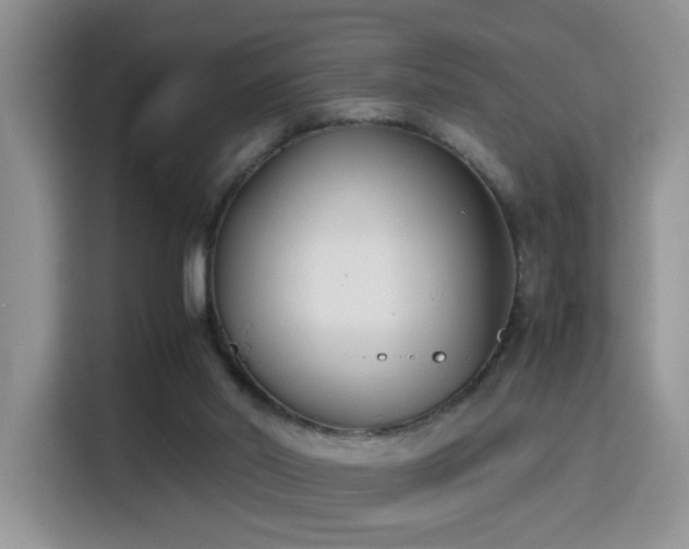 X0000115300014200911091021