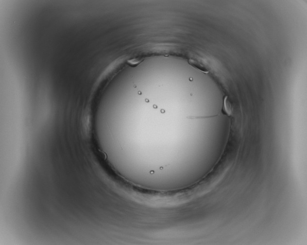 X0000115300016200911091021