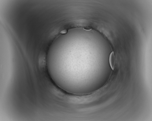 X0000115300017200911091021