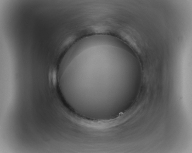 X0000115300019200911091021