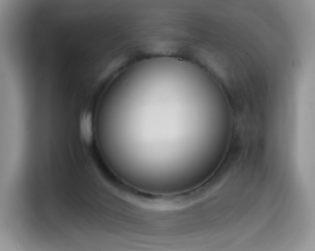 X0000115300020200911091021