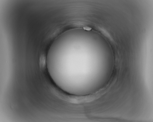 X0000115300021200911091021