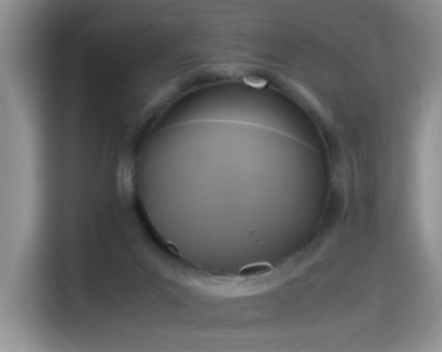 X0000115300023200911091021