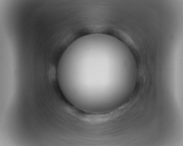 X0000115300025200911091021