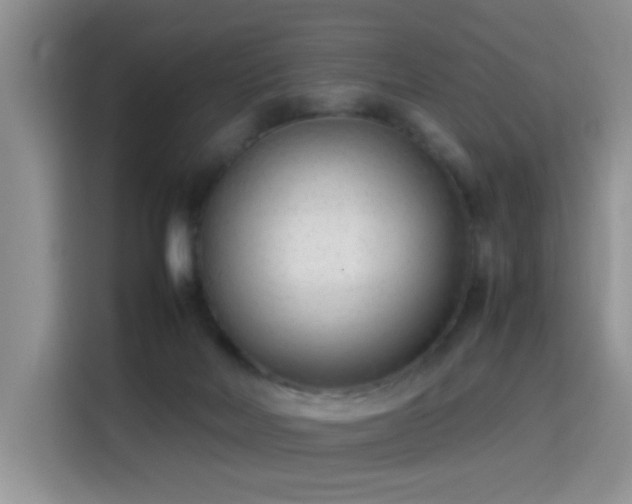 X0000115300026200911091021