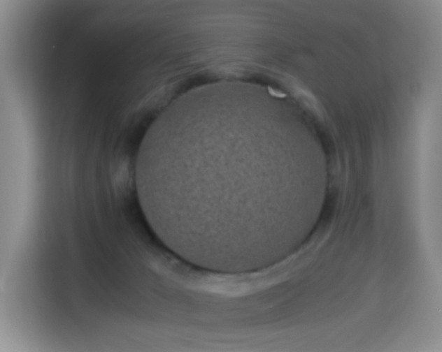 X0000115300029200911091021