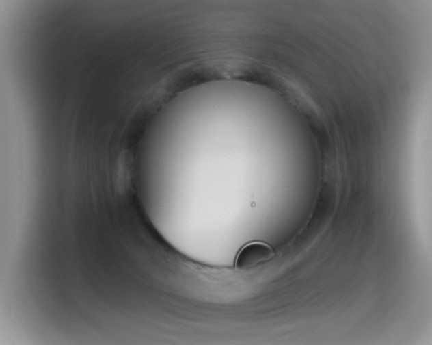 X0000115300030200911091021