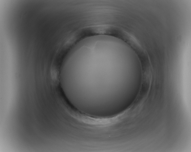 X0000115300031200911091021