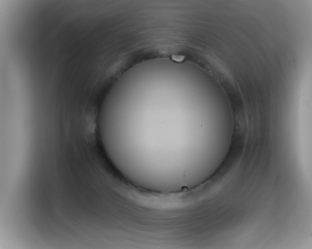 X0000115300032200911091021