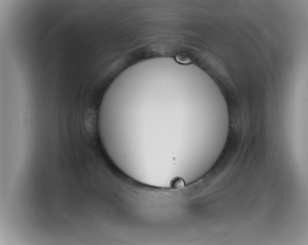 X0000115300036200911091021