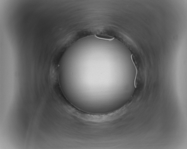 X0000115300037200911091021