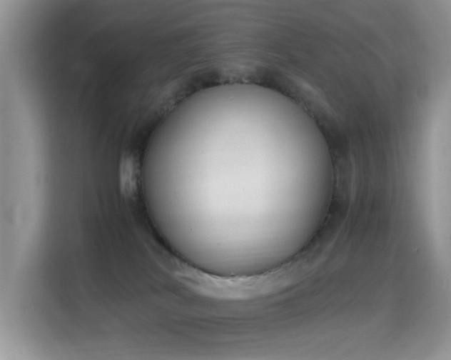 X0000115300038200911091021