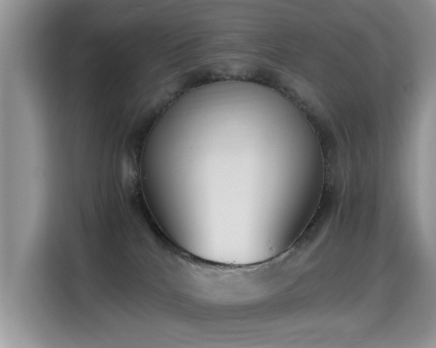 X0000115300040200911091021