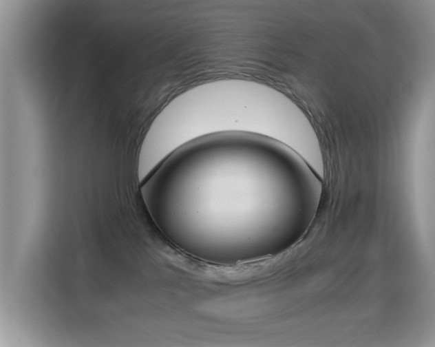 X0000115300041200911091021