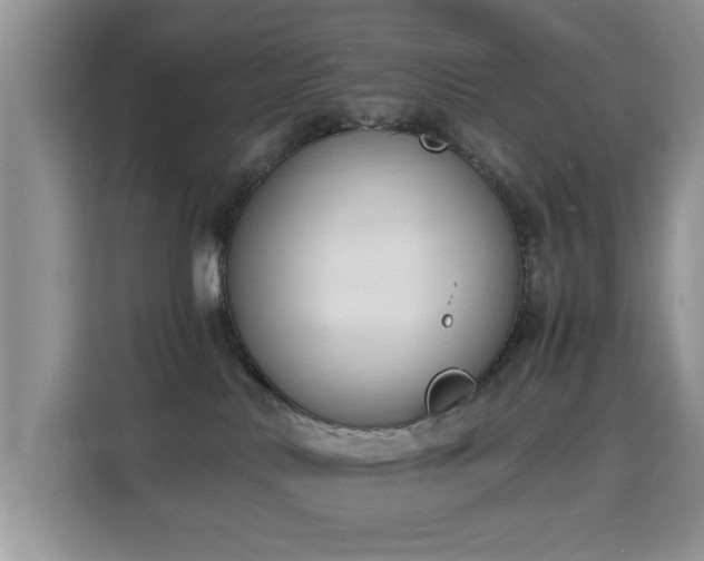 X0000115300042200911091021