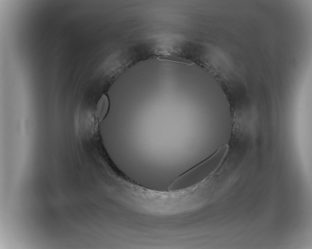 X0000115300043200911091021